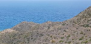 HOMMAGE A N.D. DE SANTA CRUZ A DALIAS DU 7 AU 10 JUIN 2019 (623) ESCAPADE A CARBONERA ET MOJACA 